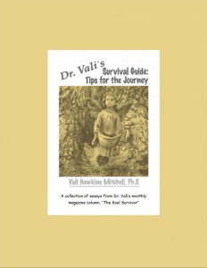 Dr. Vali’s Survival Guide: Tips for the Journey